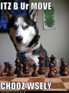 943666631_funny_dog_pictures_this_dog_is_good_at_chess_answer_1_xlarge